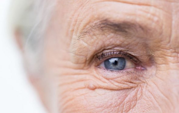 47872544 - age, vision and old people concept - close up of senior woman face and eye